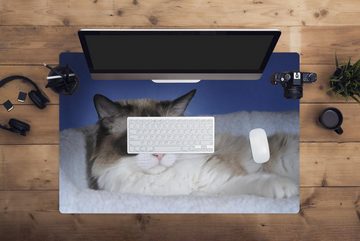 MuchoWow Gaming Mauspad Liegende schwarz-weiße Ragdoll-Katze (1-St), Büro für Tastatur und Maus, Mousepad Gaming, 90x60 cm, XXL, Großes