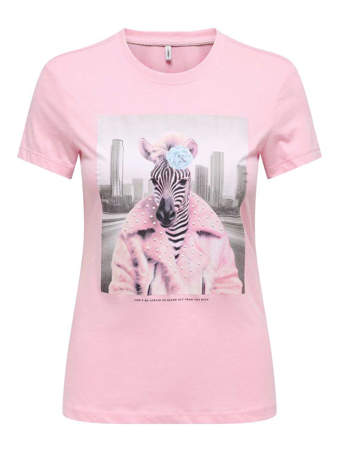 Romance Rose Print:Vibe zebra big city