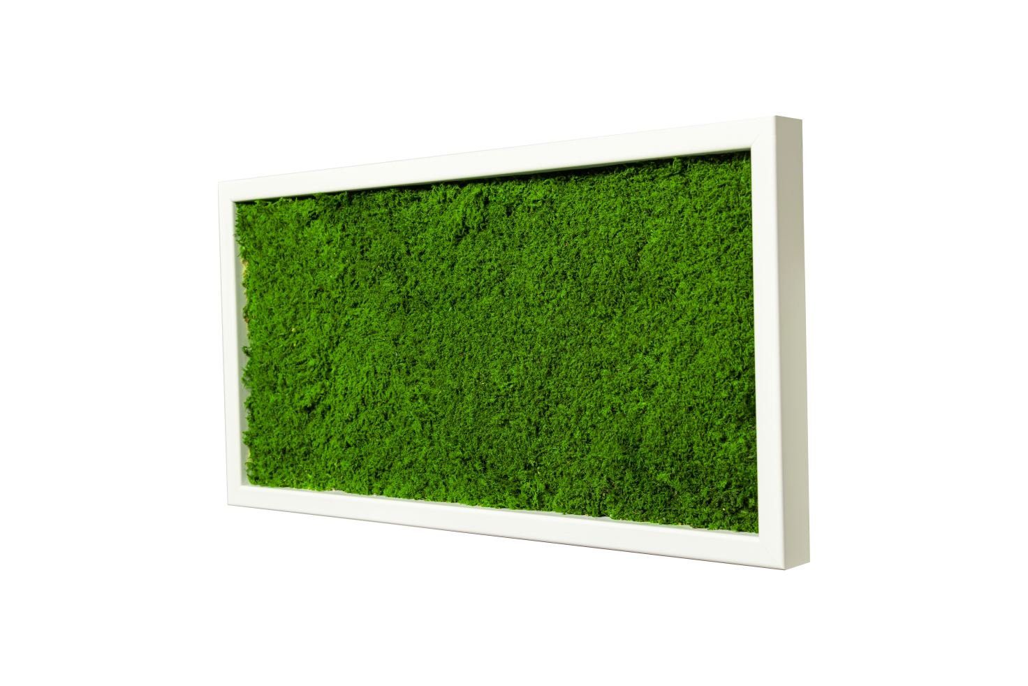 Moos-Design Bild Moosbild Flat Design mit günstig online kaufen