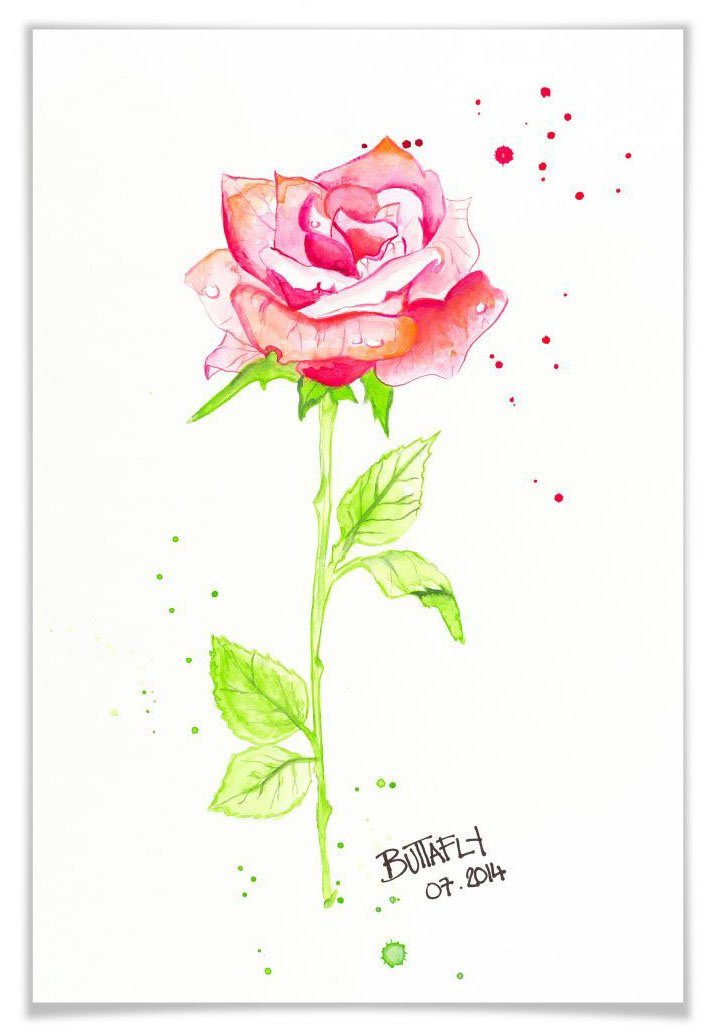 (1 Blumen Poster St), Rose, Wall-Art Wandbild, Wandposter Poster, Bild,