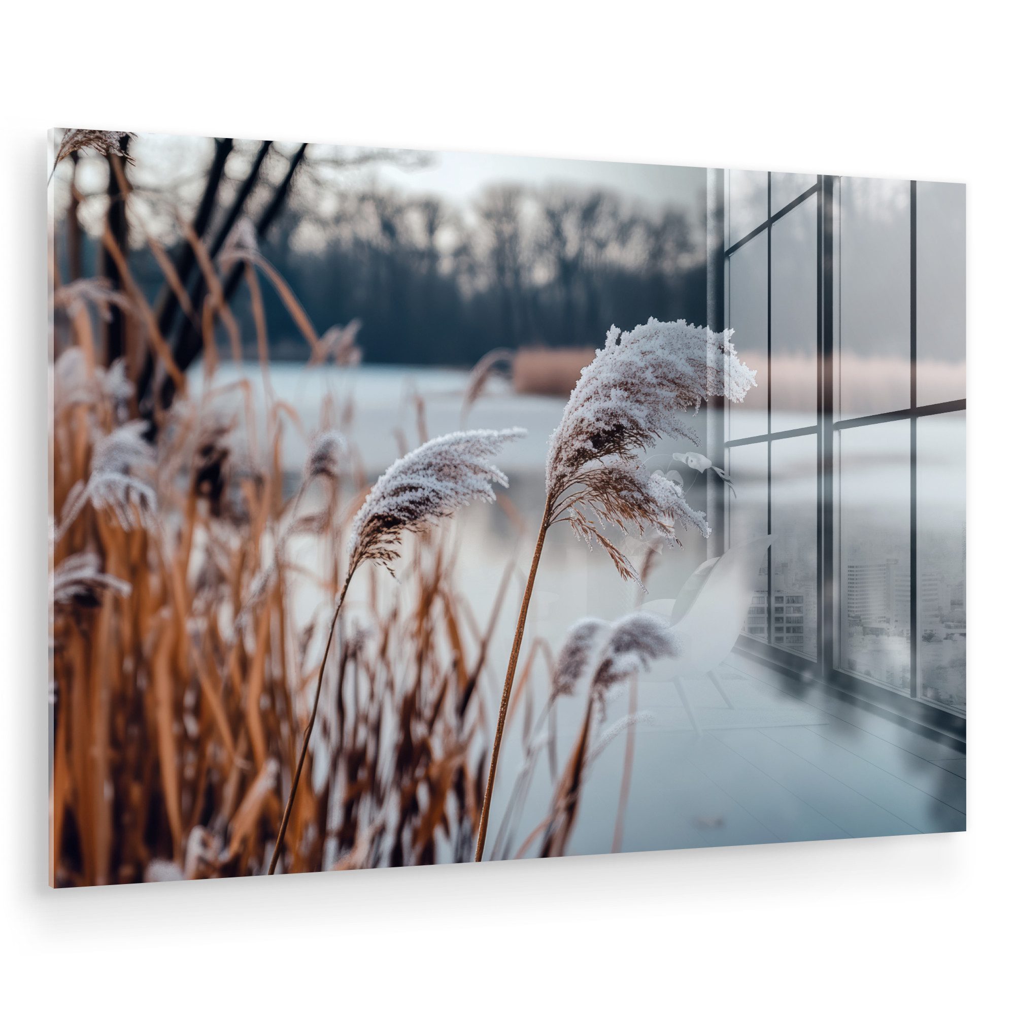 MuchoWow Acrylglasbild Schilf - Gras - Natur - Winter - See, Inkl. Aufhängu günstig online kaufen