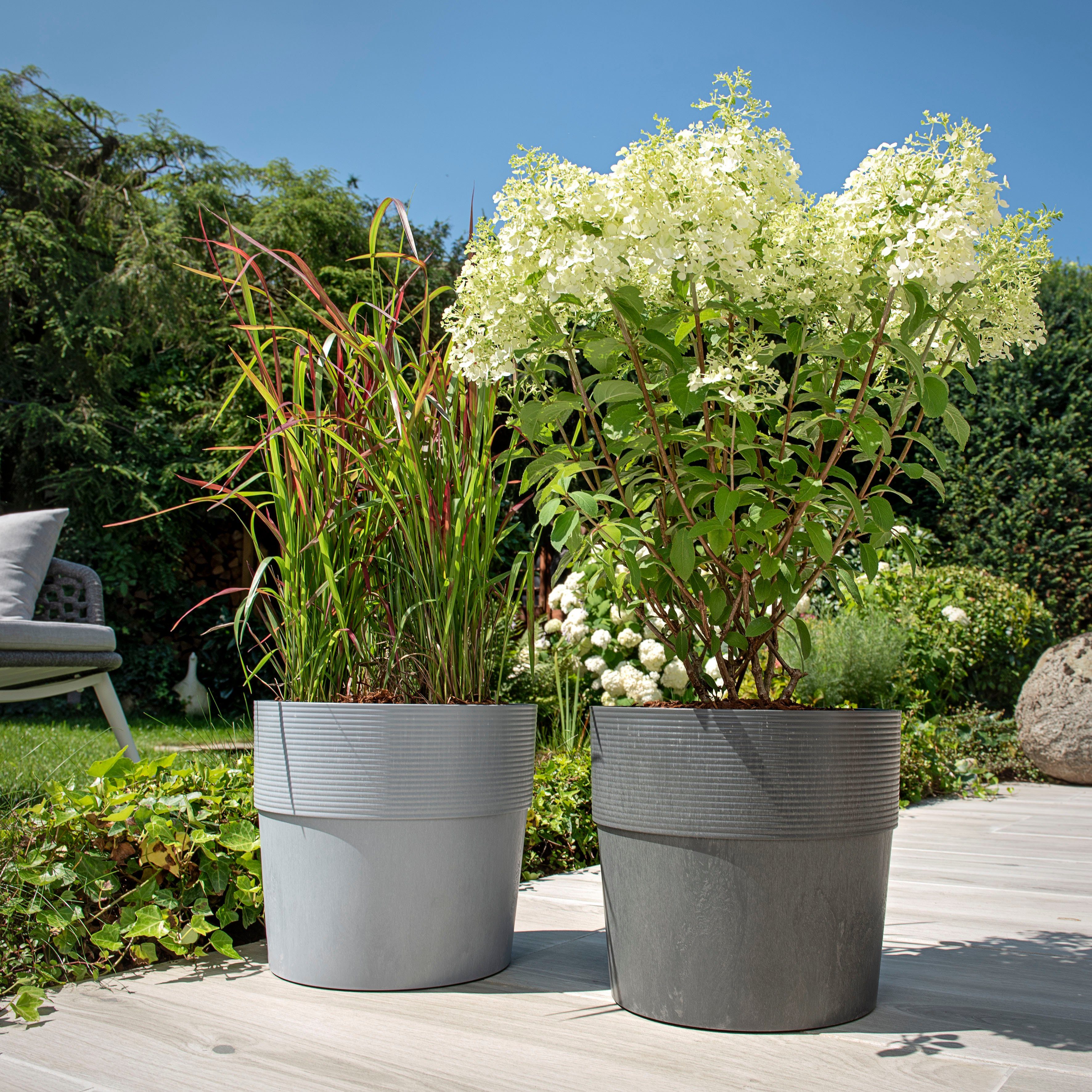 Scheurich Blumentopf 30/266 GROOVE+ günstig online kaufen