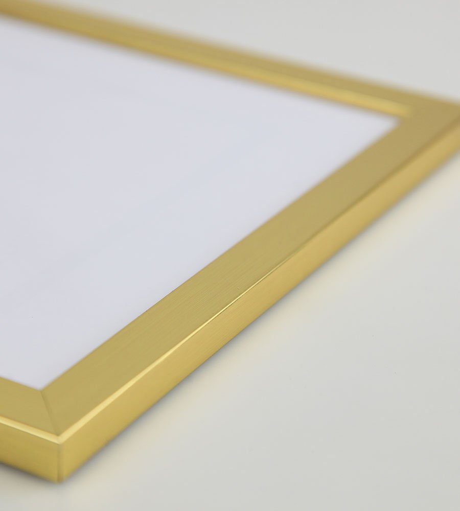 Plexiglas TREND Leichter Bilderrahmen Kunststoff Blockprofil mit IDEAL FlexiFrame Bilderrahmen Gold