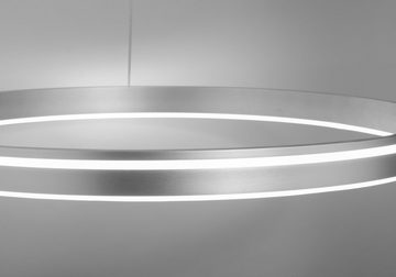Paul Neuhaus Smarte LED-Leuchte LED Pendellampe CCT Q-Vito, Smart Home, RGB+W-Farbregelung, Dimmfunktion, Memoryfunktion, mit Leuchtmittel, Pendelleuchte Ring, dimmbar, Fernbedienung, Alexa