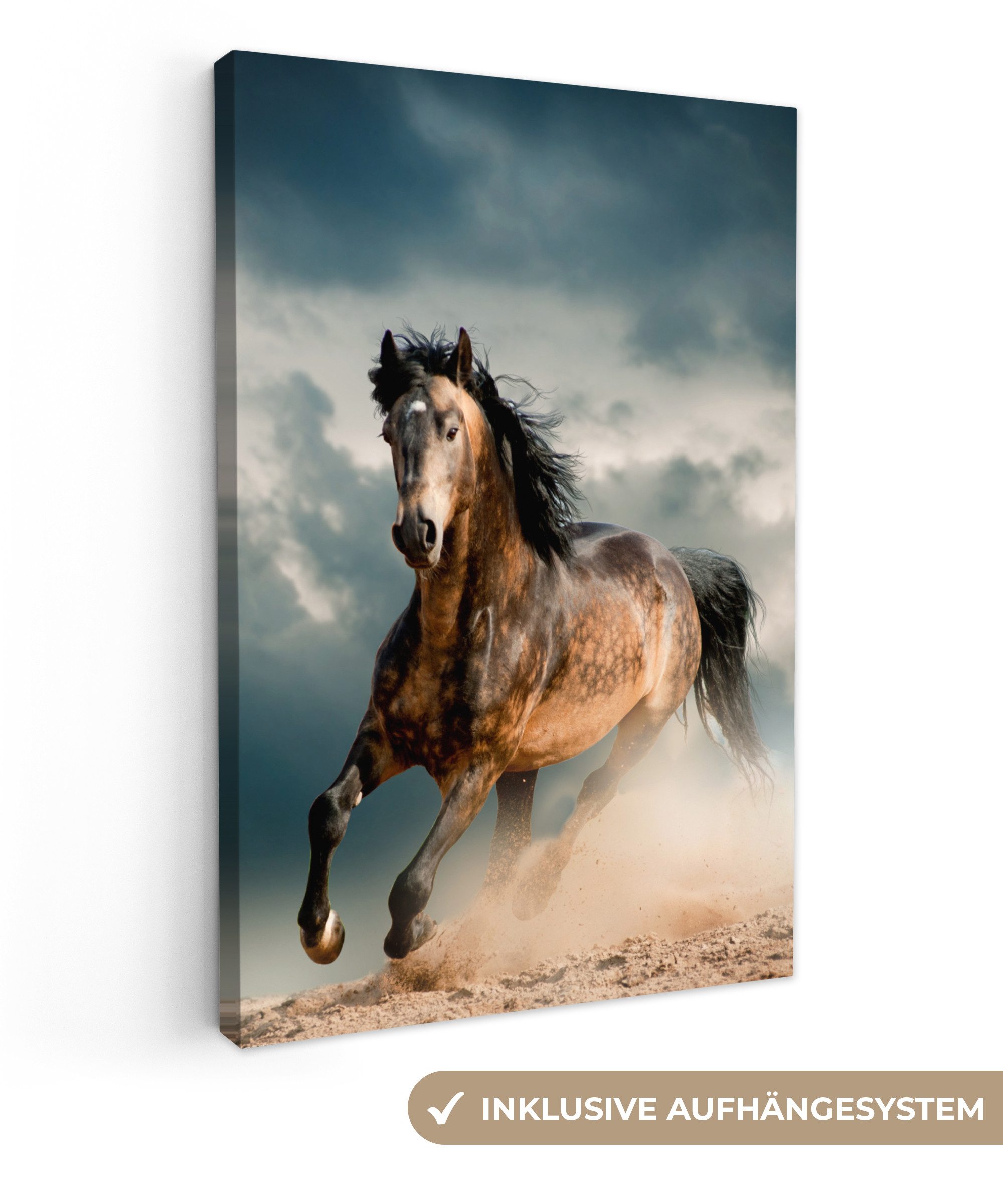 OneMillionCanvasses® Leinwandbild Pferd - Tiere - günstig online kaufen