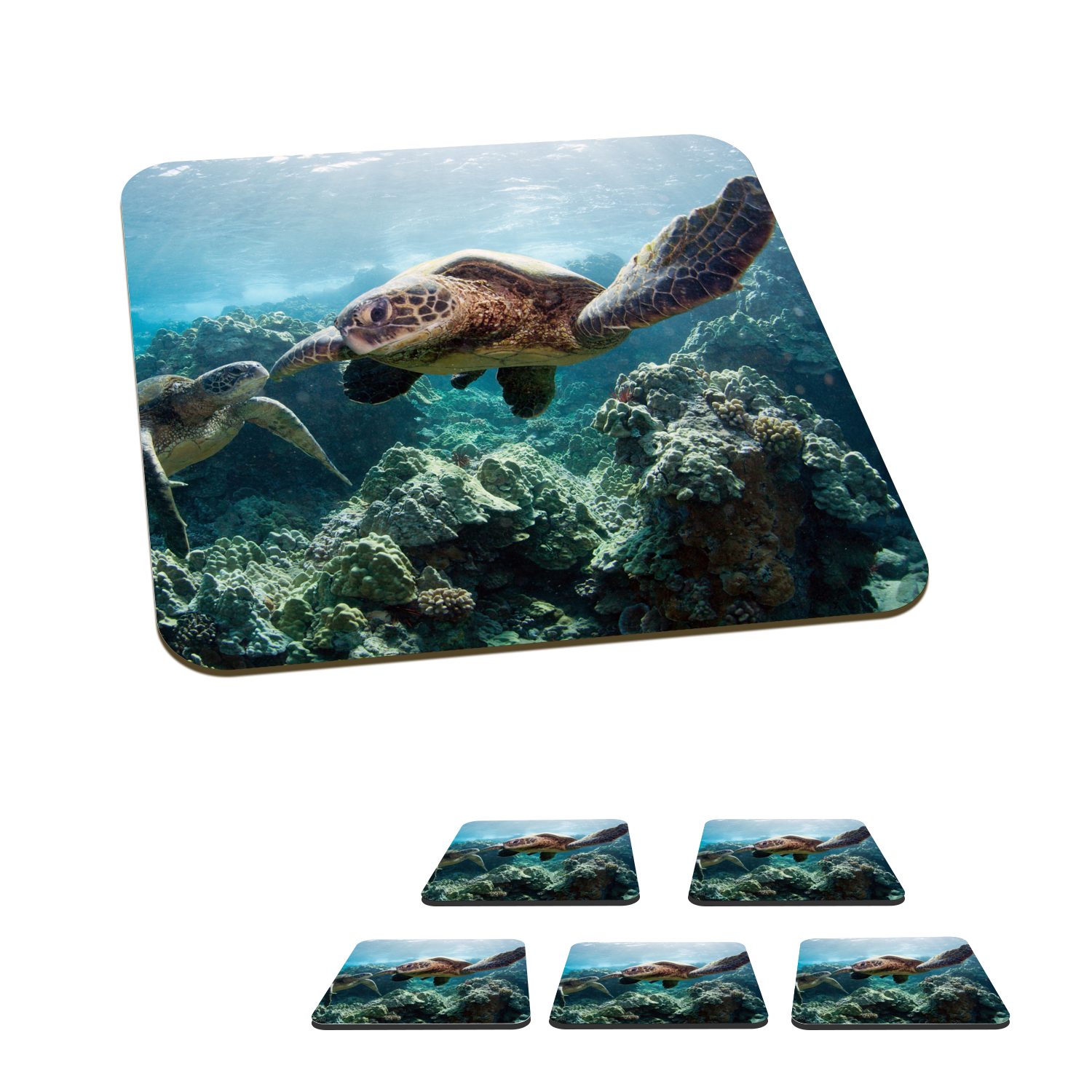 MuchoWow Glasuntersetzer Zwei Meeresschildkröten, Zubehör für Gläser, 6-tlg., Glasuntersetzer, Tischuntersetzer, Korkuntersetzer, Untersetzer, Tasse