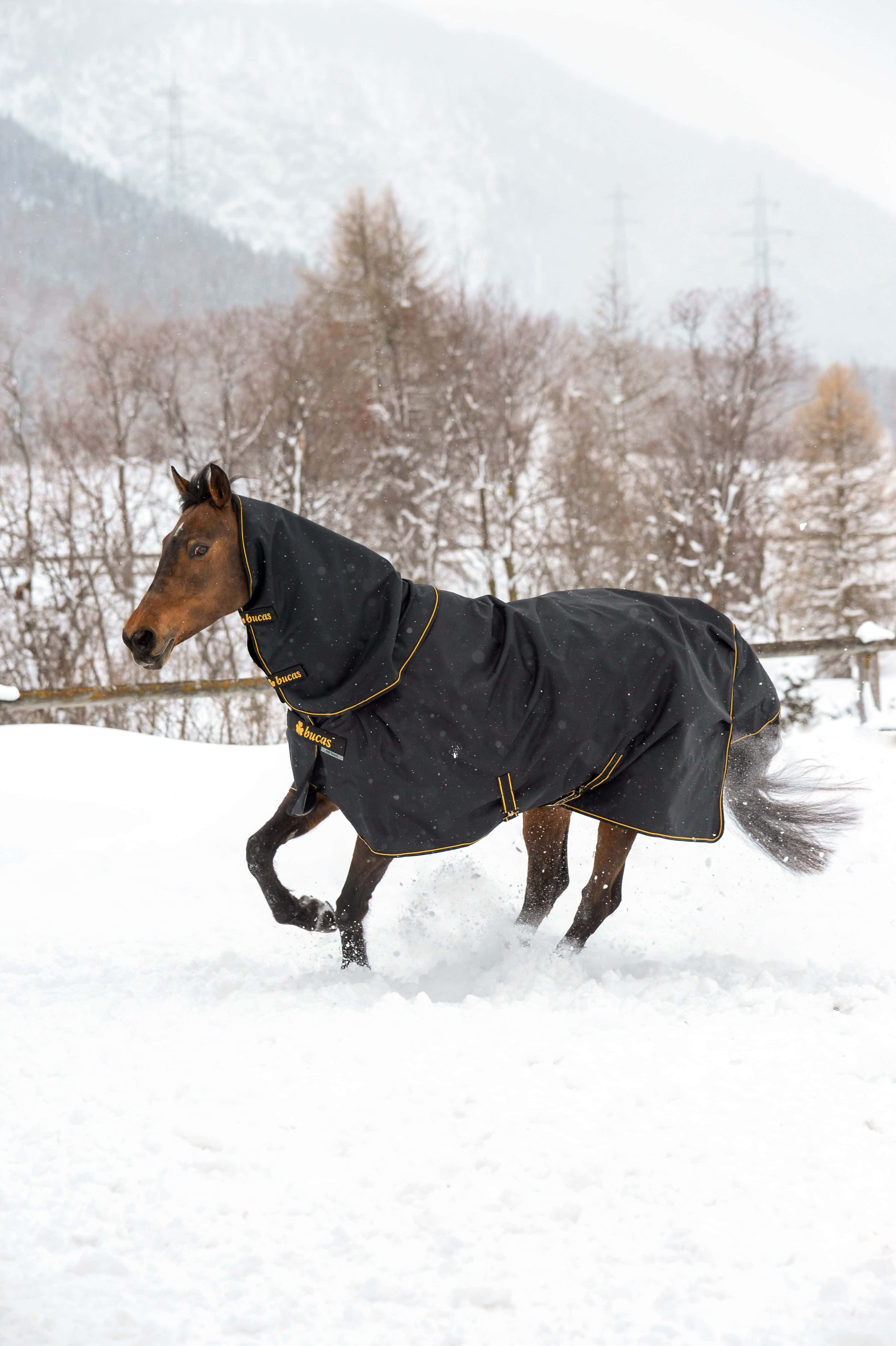 Bucas Pferde-Halsteil Halsteil Irish Combi Neck