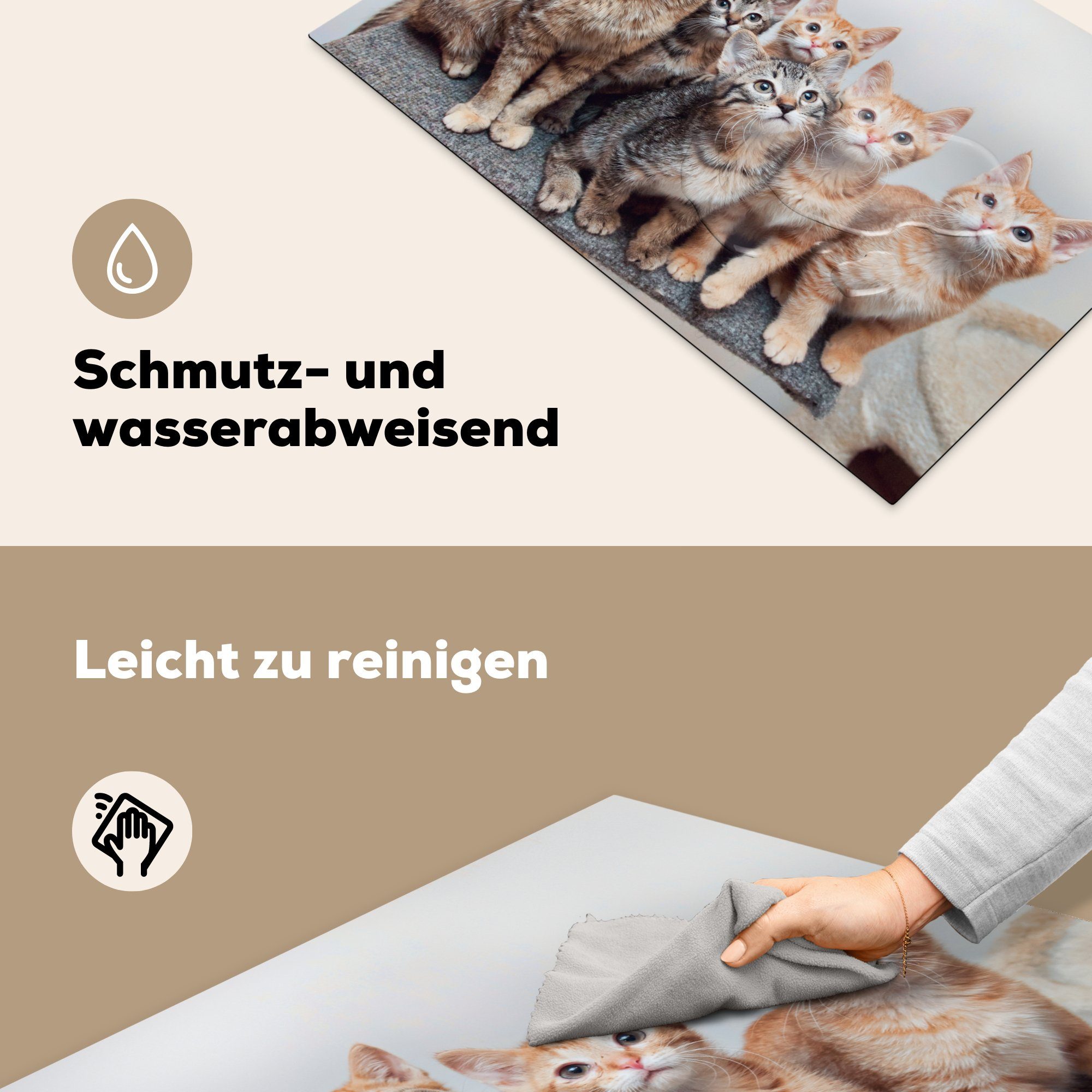 Vinyl, cm, Katze Induktionskochfeld tlg), Schutz für 81x52 Kätzchen die Ceranfeldabdeckung MuchoWow (1 Fell, Herdblende-/Abdeckplatte küche, - -