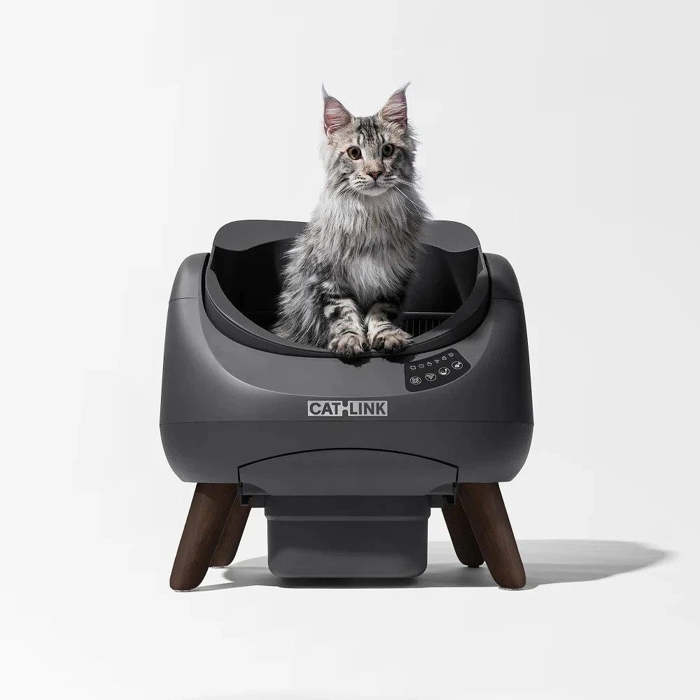 CATLINK Katzentoilette Offene selbstreinigende Katzentoilette mit App-Steuerung & WLAN