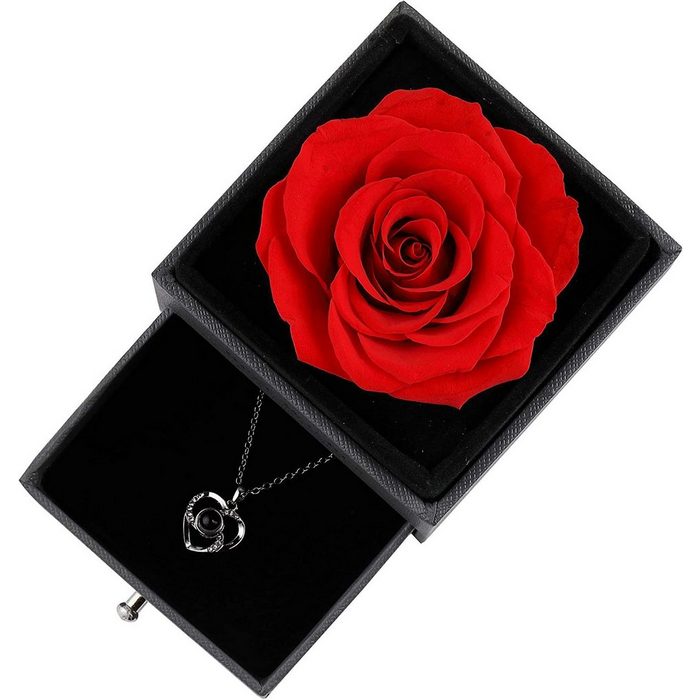 Devenirriche Collier Geschenke für sie konservierte echte Rose AR9750