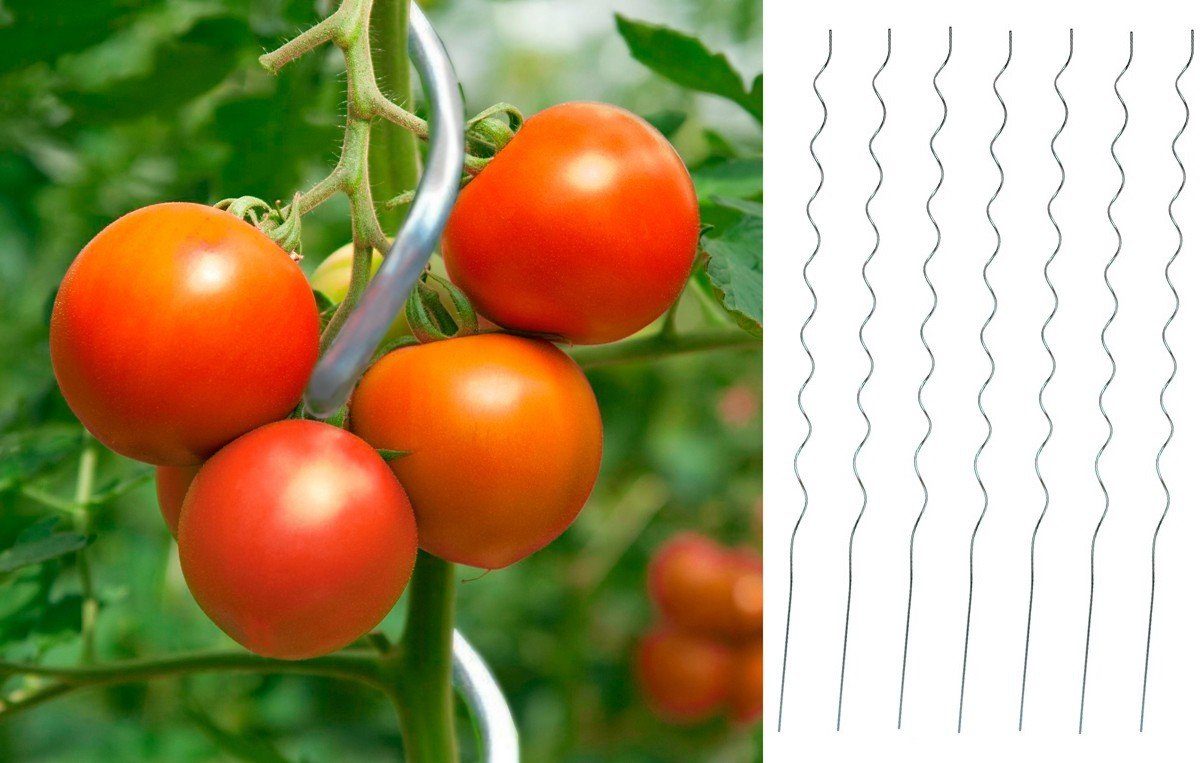 GartenHero Rankhilfe Tomatenspiralstab 180cm Tomaten Spiralstab günstig online kaufen