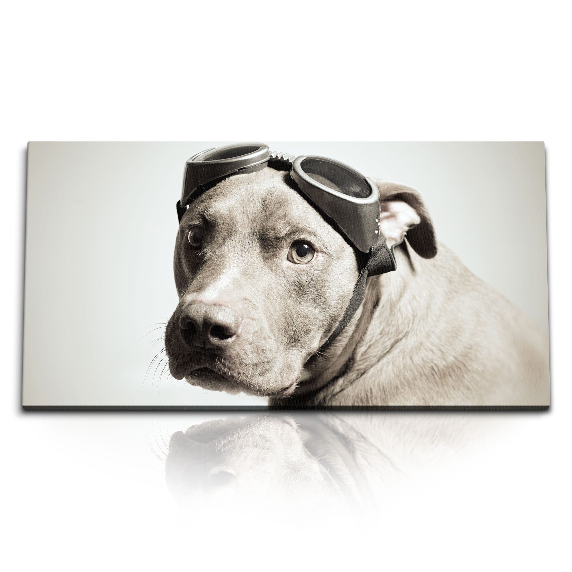 Leinwandbild Kunstdruck Bilder 120x60cm Hund mit Fliegerbrille Tierfotografie Haush