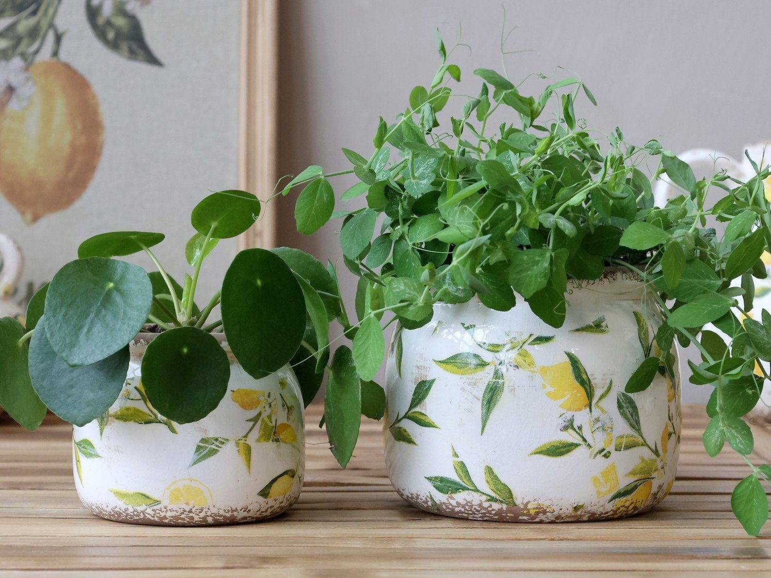Chic Antique Übertopf Chic Antique * günstig online kaufen