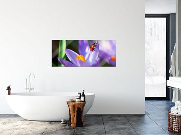 Pixxprint Glasbild Krokussblüte mit Marienkäfer, Krokussblüte mit Marienkäfer (1 St), Glasbild aus Echtglas, inkl. Aufhängungen und Abstandshalter