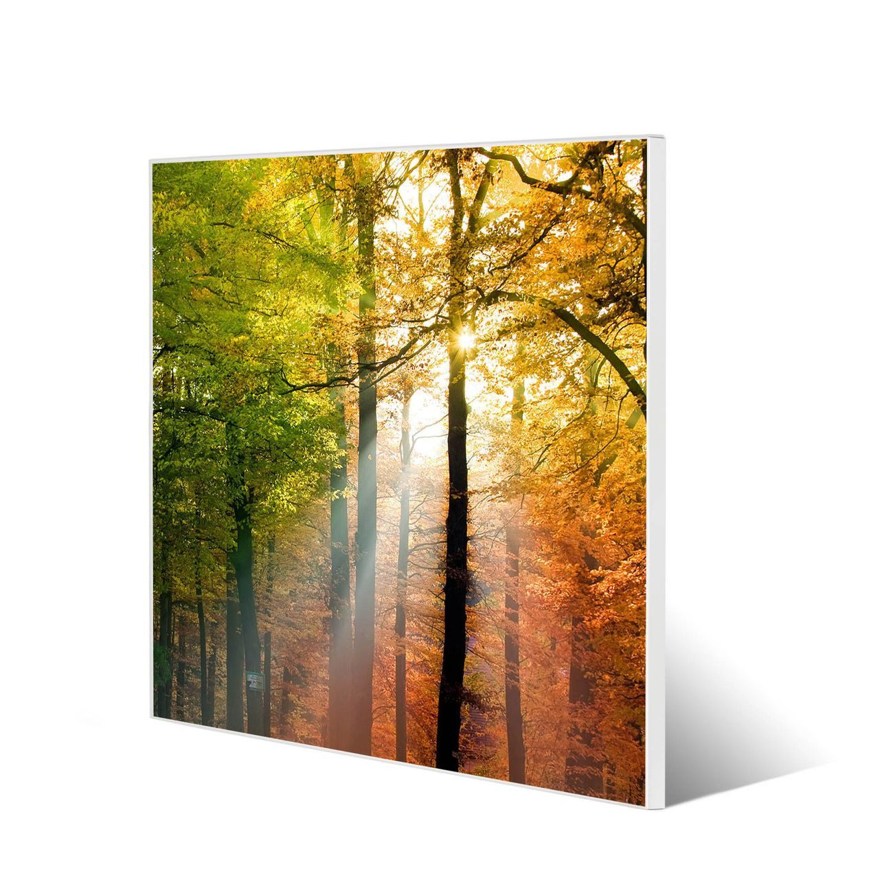 banjado Magnettafel Stahl Quadratisch Herbstwald, (inkl. 4 Magnete, Quadratische Stahlmagnettafel)