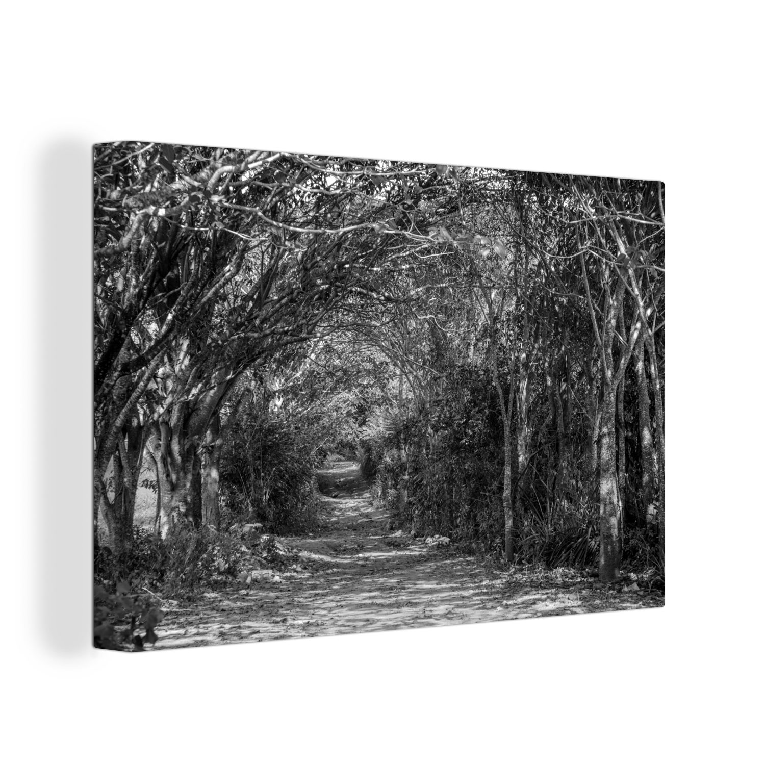 OneMillionCanvasses® Leinwandbild Biegen schwarz Wanddeko, Aufhängefertig, weiß, - 30x20 Leinwandbilder, von und Viñales in Bäumen (1 Kuba St), Wandbild Ackerland in cm