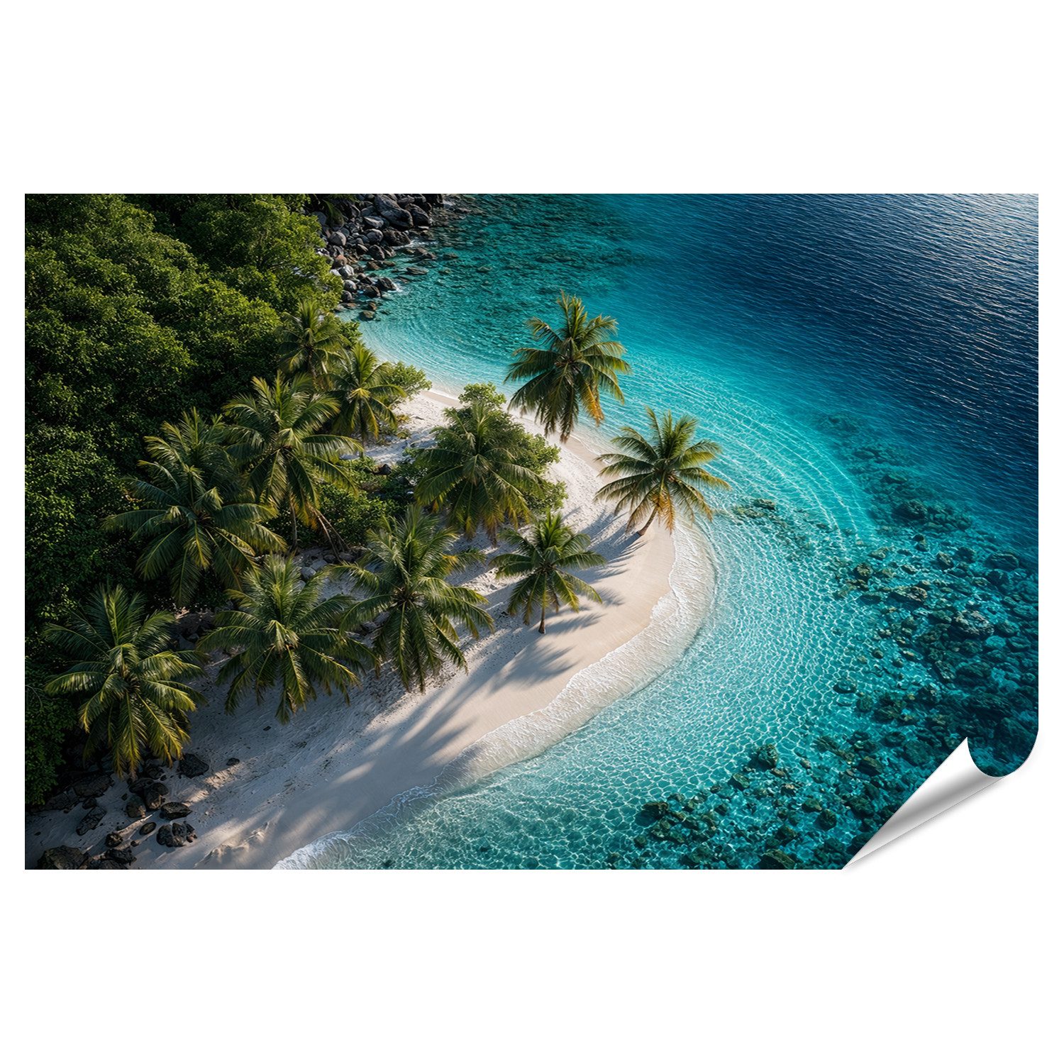 islandburner Poster Tropischer Strand mit Palmen und klarem Wasser als - Standard