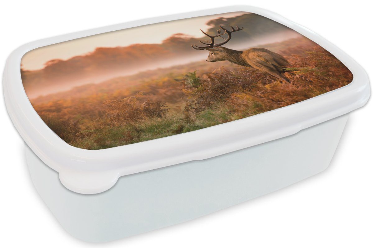 MuchoWow Lunchbox Hirsche - und Herbst, für Jungs Brotdose, - (2-tlg), und Brotbox Nebel Kinder Erwachsene, weiß Mädchen Kunststoff, für