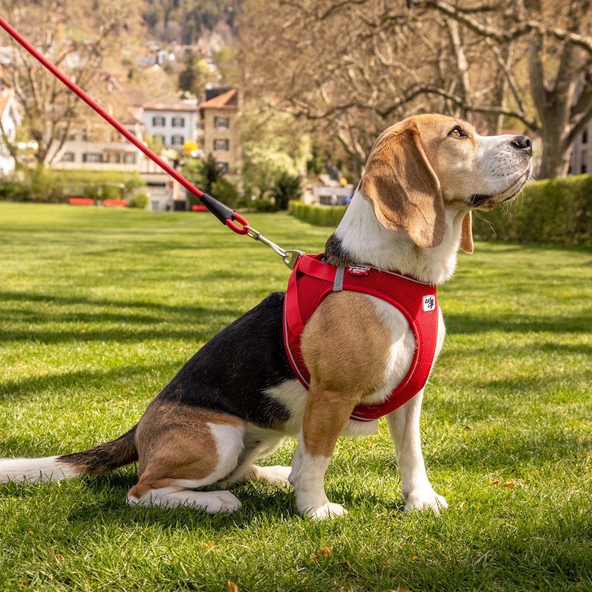 Curli Hunde-Geschirr Vest Geschirr Magnetic V2 rot