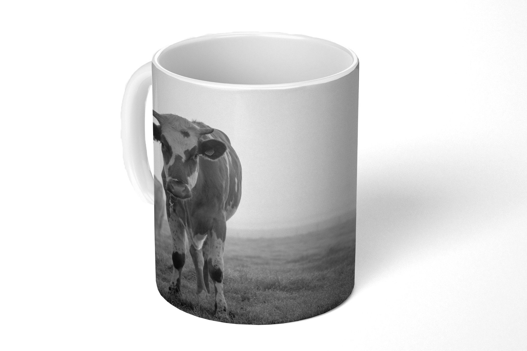 MuchoWow Tasse Kühe im Morgennebel schwarz-weiß Foto, Keramik, Kaffeetassen, Teetasse, Becher, Teetasse, Geschenk