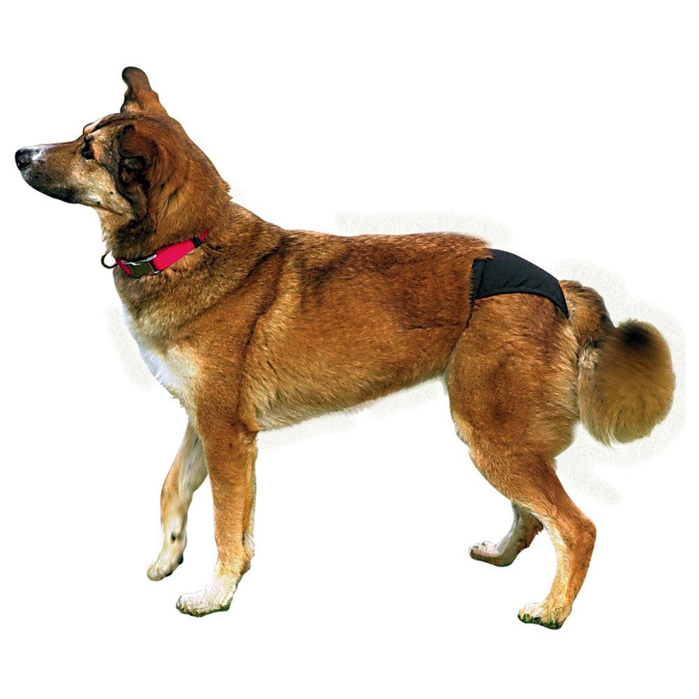 TRIXIE Hundewindel Schutzhöschen schwarz