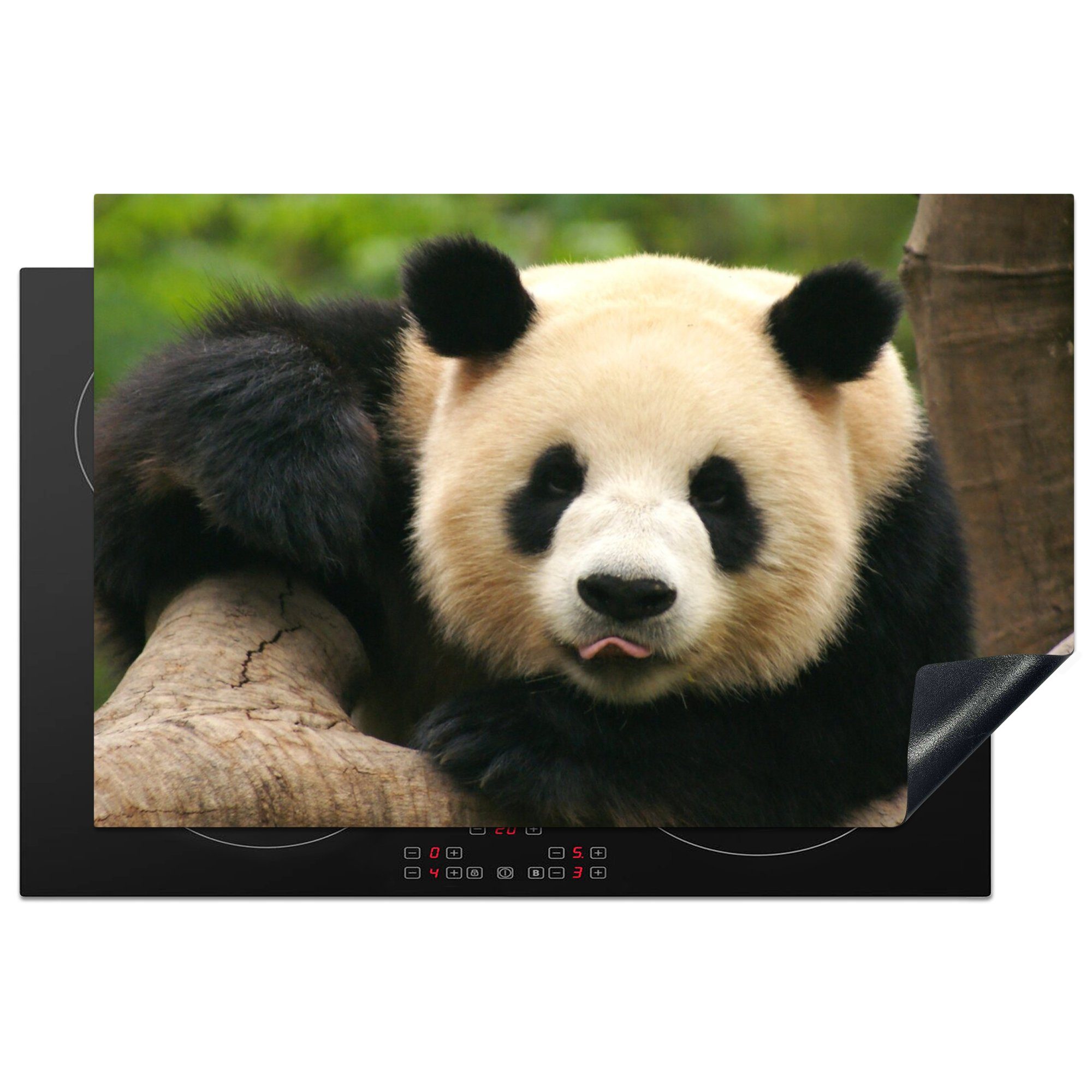 MuchoWow Herdblende-/Abdeckplatte Tiere - Panda - Bäume, Vinyl, (1 tlg), 81x52 cm, Induktionskochfeld Schutz für die küche, Ceranfeldabdeckung