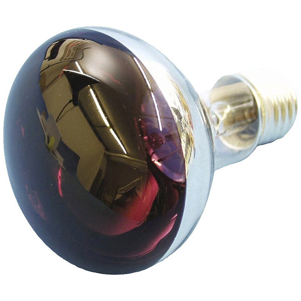 EUROLITE LED-Leuchtmittel Eurolite 9210440U Glühlampe E27 Reflektor 60 W Violett (x L) 80 mm