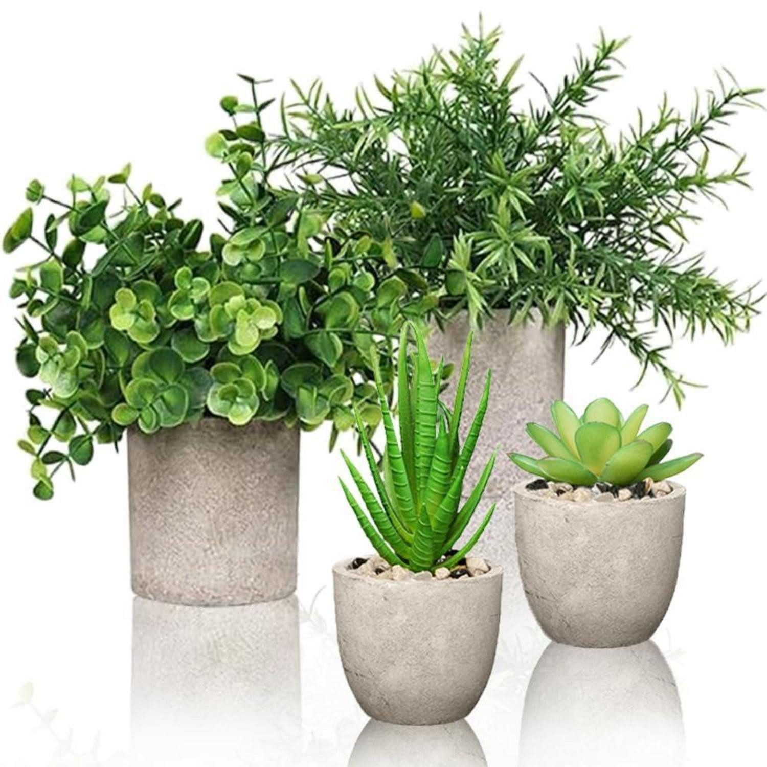 Künstliche Zimmerpflanze Kunstpflanzen im Topf 4er Set Deko, LuxusKollektion, Höhe 21 cm