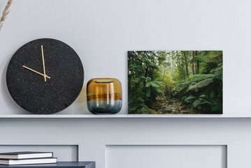 OneMillionCanvasses® Leinwandbild Wald in Victioria, Australien, (1 St), Wandbild Leinwandbilder, Aufhängefertig, Wanddeko, 30x20 cm