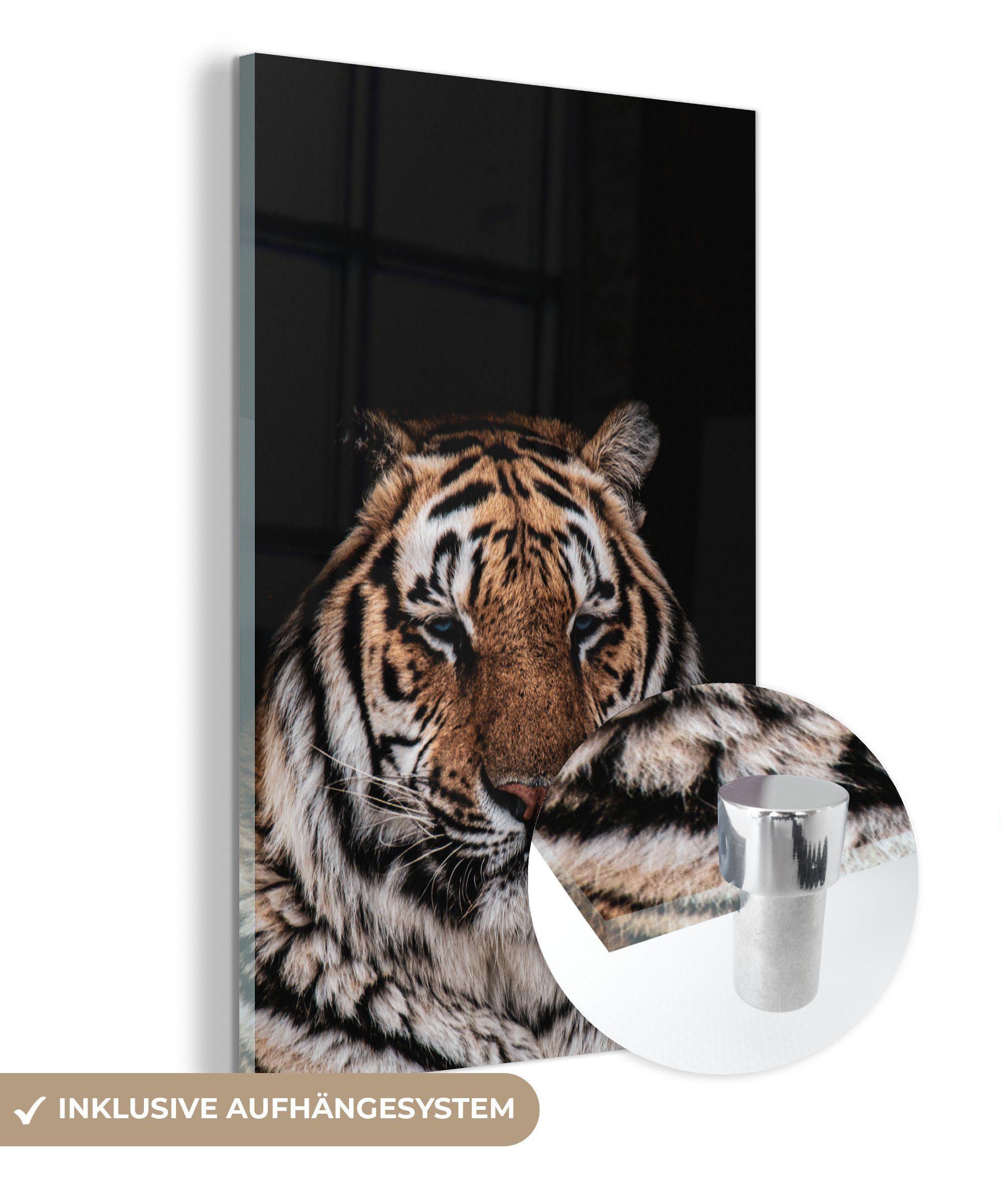 MuchoWow Acrylglasbild Tiger - Faulenzer - Schwarz, (1 St), Glasbilder - Bilder auf Glas Wandbild - Foto auf Glas - Wanddekoration bunt