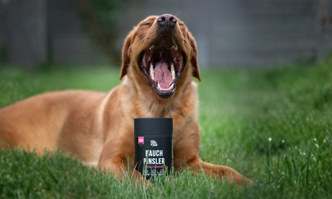 Tales & Tails Bauchpinsler - Funktionaler Hundesnack, Snack für: Hunde