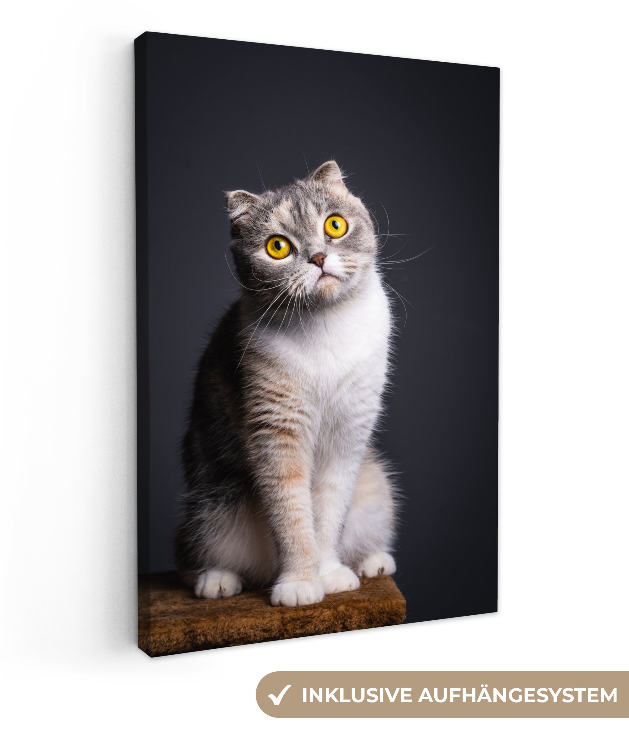 OneMillionCanvasses® Leinwandbild Katze - - 90x140 Wohnbereiche, cm St), Gemälde, für Licht, (1 alle Augen XXL, großes, Wandbild