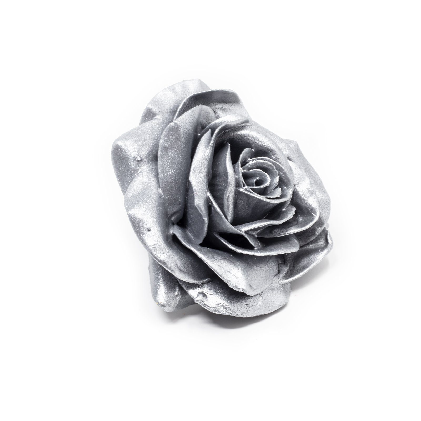 Trockenblume 10er-Set Wachsrose - Silver, Primera, Höhe 20 cm