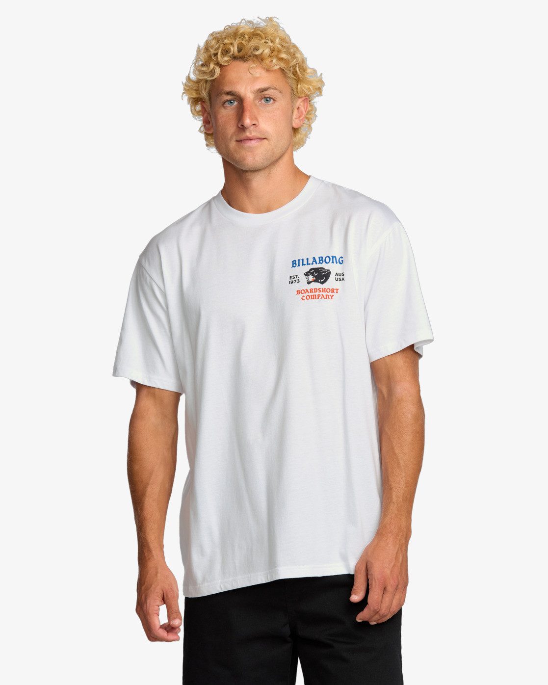 Billabong Print-Shirt Billabong Formidable Regular - T-Shirt