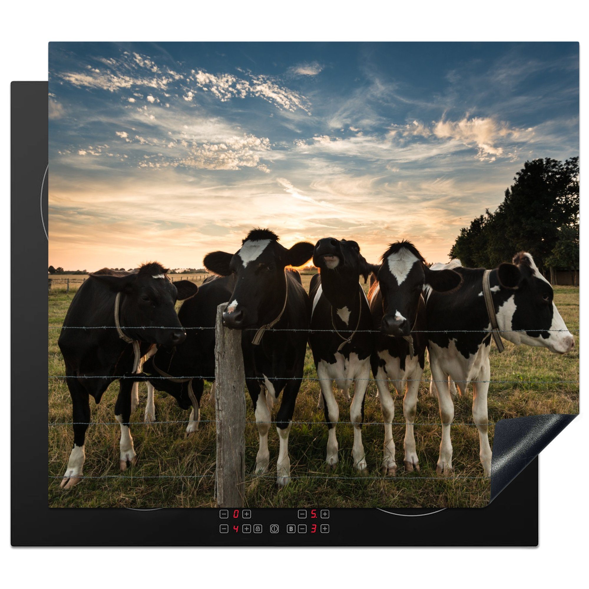 MuchoWow Herdblende-/Abdeckplatte Kühe - Tiere - Bauernhof, Vinyl, (1 tlg), 59x51 cm, Induktionsschutz, Induktionskochfeld, Ceranfeldabdeckung