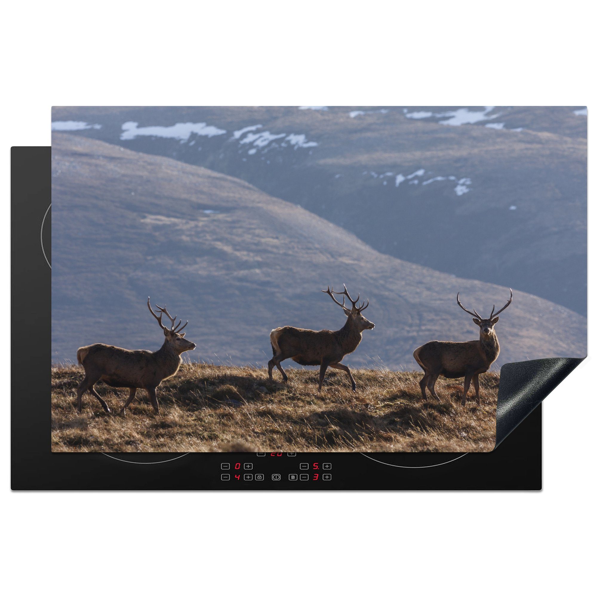 Hirsche Ceranfeldabdeckung im die für MuchoWow Park, Schutz (1 81x52 in küche, cm, Vinyl, Induktionskochfeld Herdblende-/Abdeckplatte schottischen Cairngorms tlg), National Highlands den