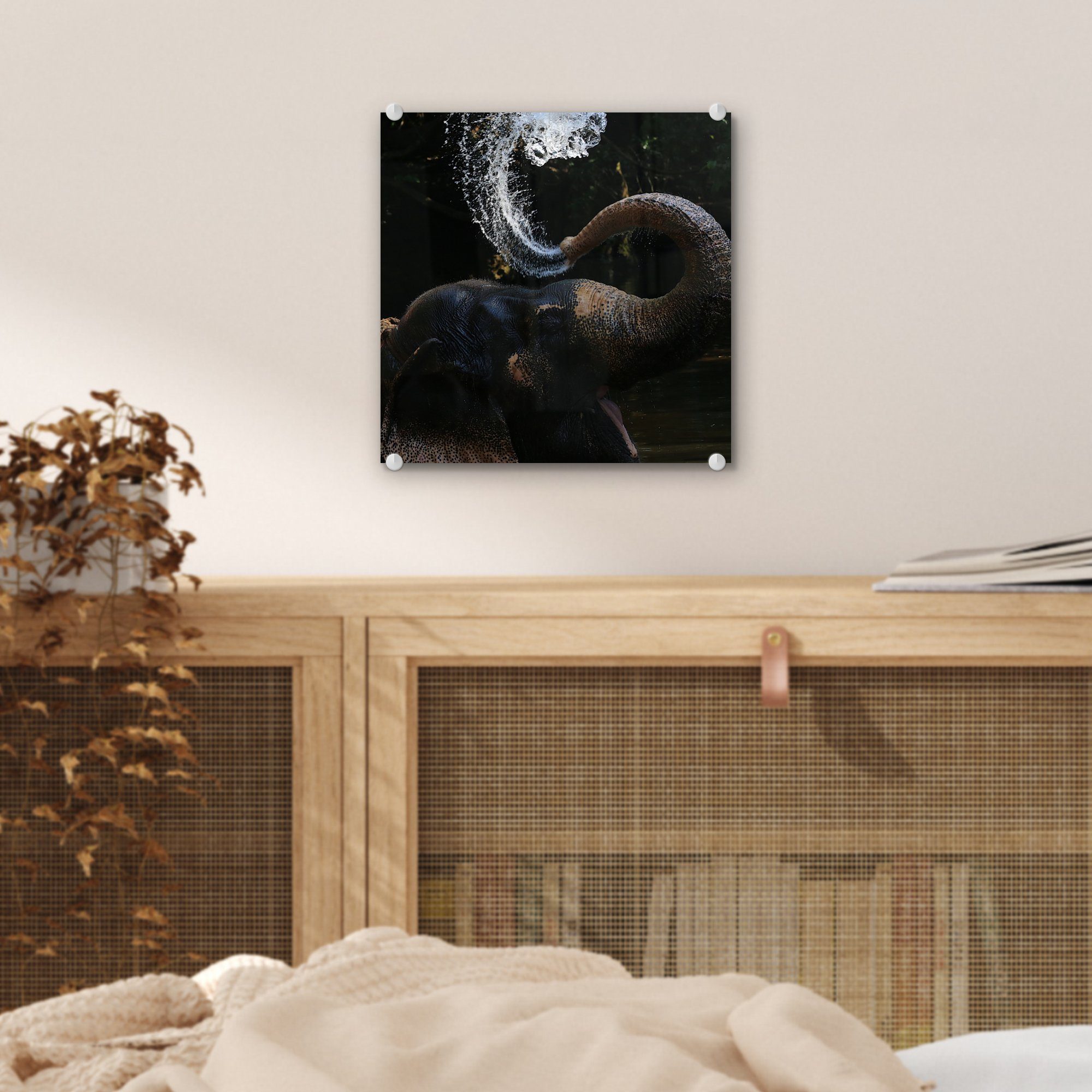 Wandbild MuchoWow St), - - (1 Bilder Wanddekoration Glas Acrylglasbild Foto auf Elefant - - Natur, Glasbilder auf Wasser - Glas Rüssel - - Tiere