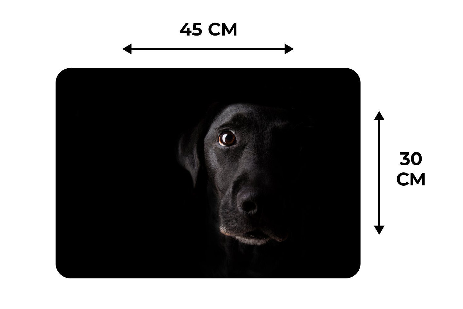 Platzset, Ein schwarzer Labrador Retriever Hintergrund, MuchoWow, (6-St), Tischmatten, Schmutzabweisend Platzmatte, schwarzem Platzdecken, Platzset, auf