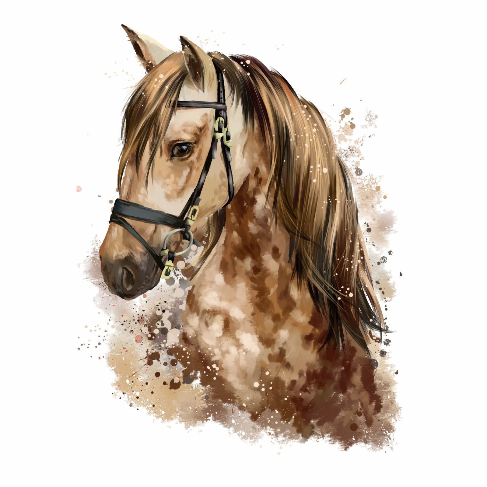 nikima Wandtattoo 085 Wandtattoo Pferd Kopf - 250 x 330 mm (PVC-Folie) günstig online kaufen