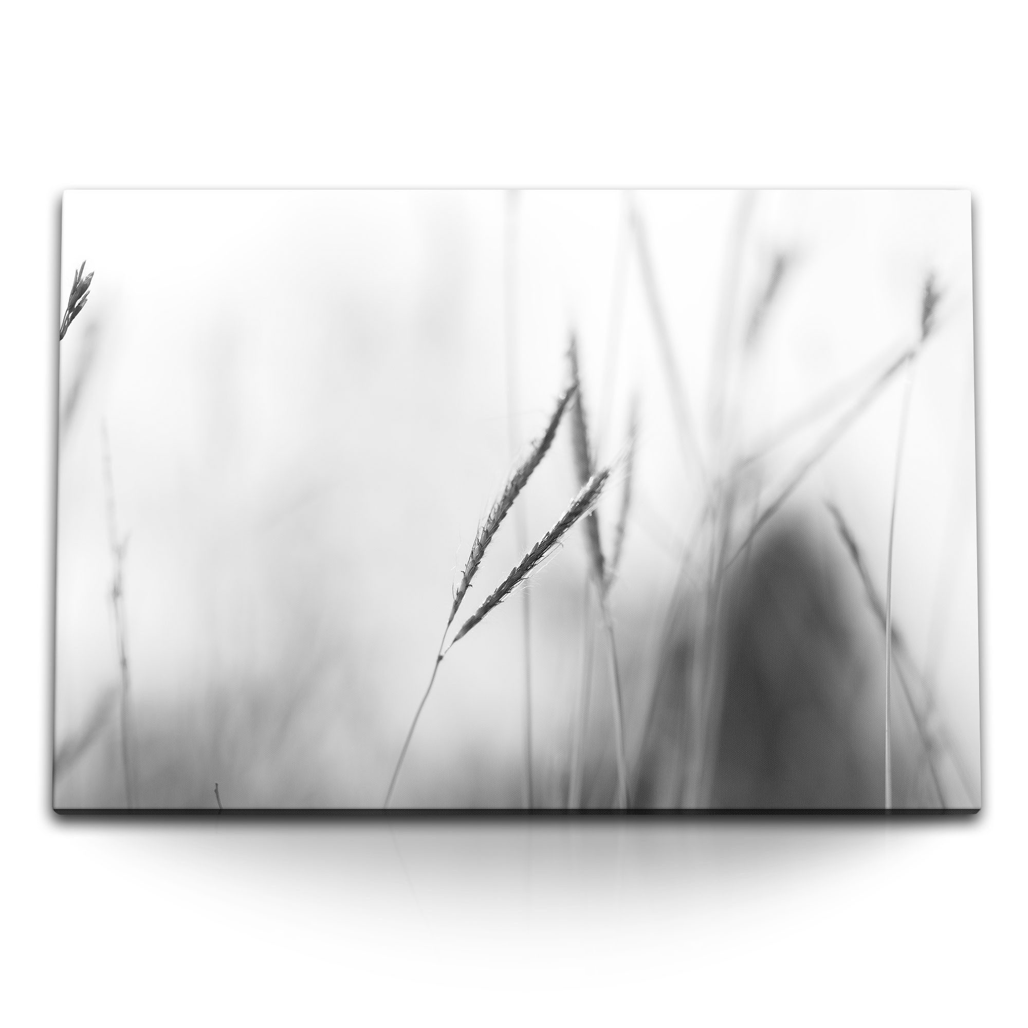 Leinwandbild 120x80cm Wandbild auf Leinwand Weizen Schwarz Weiß Fotografie Fotokuns
