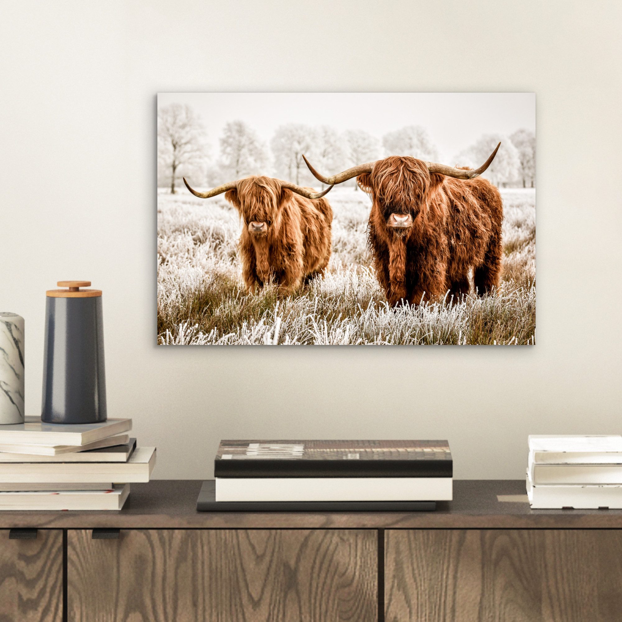 MuchoWow Metallbild Schottischer Hochländer - Kuh günstig online kaufen