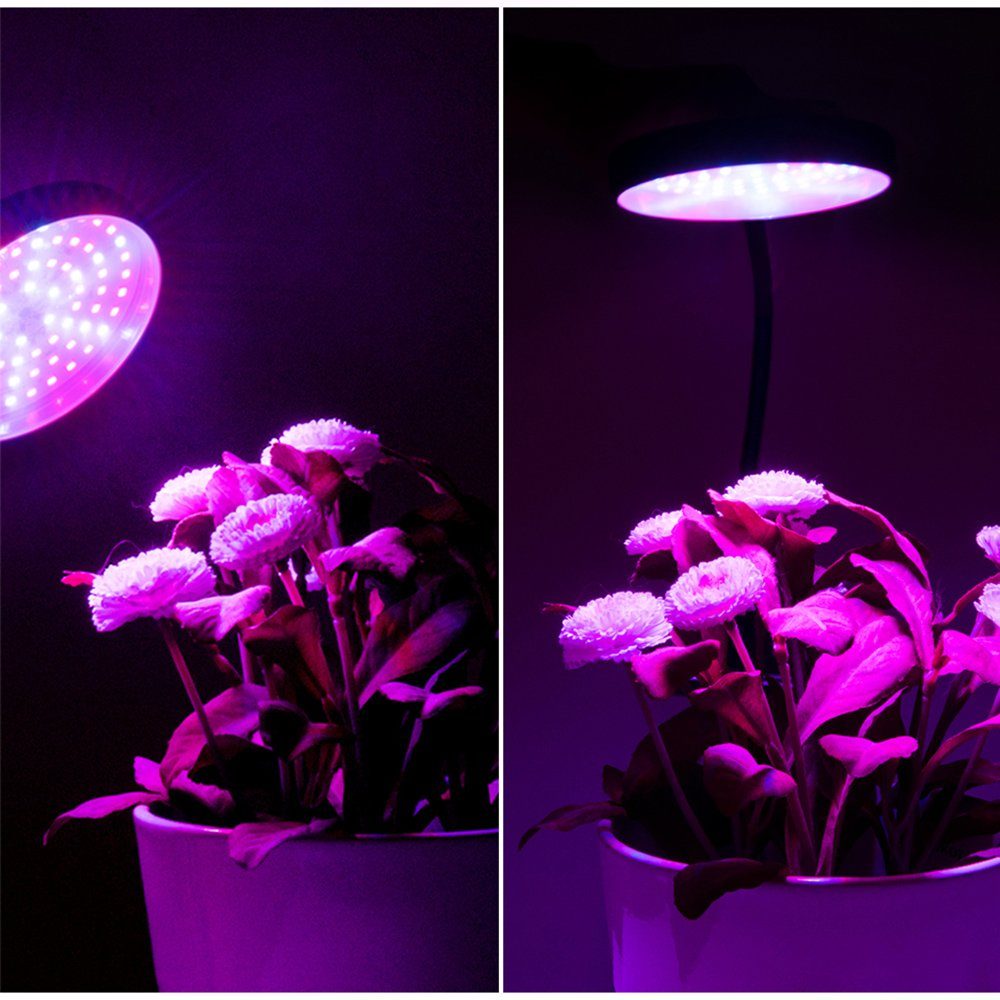 Rosnek Pflanzenlampe Voll Spektrum, Verstellbarer Schwanenhals,mit günstig online kaufen