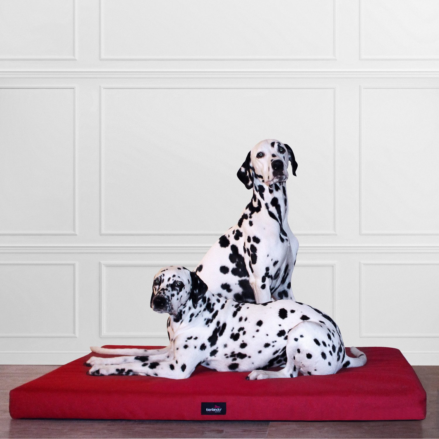 Thumbnail - tierlando® Tierbett Orthopädische Hundematratze ALICE VISCO Hundematte Hundebett S - XXL