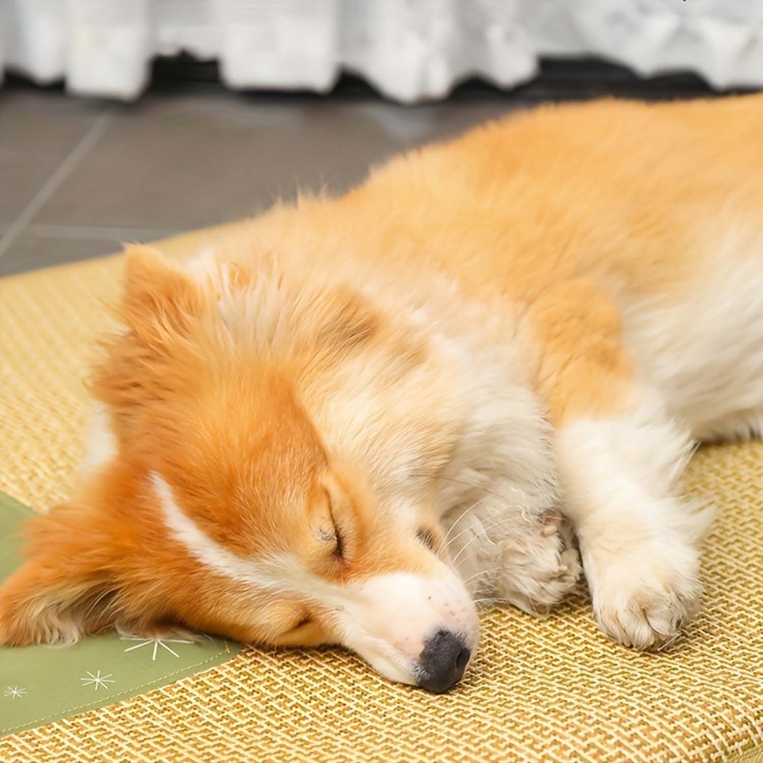 Srvillg Hundematte Rattan Haustiermatte Kühlendes Hundebett für kleine