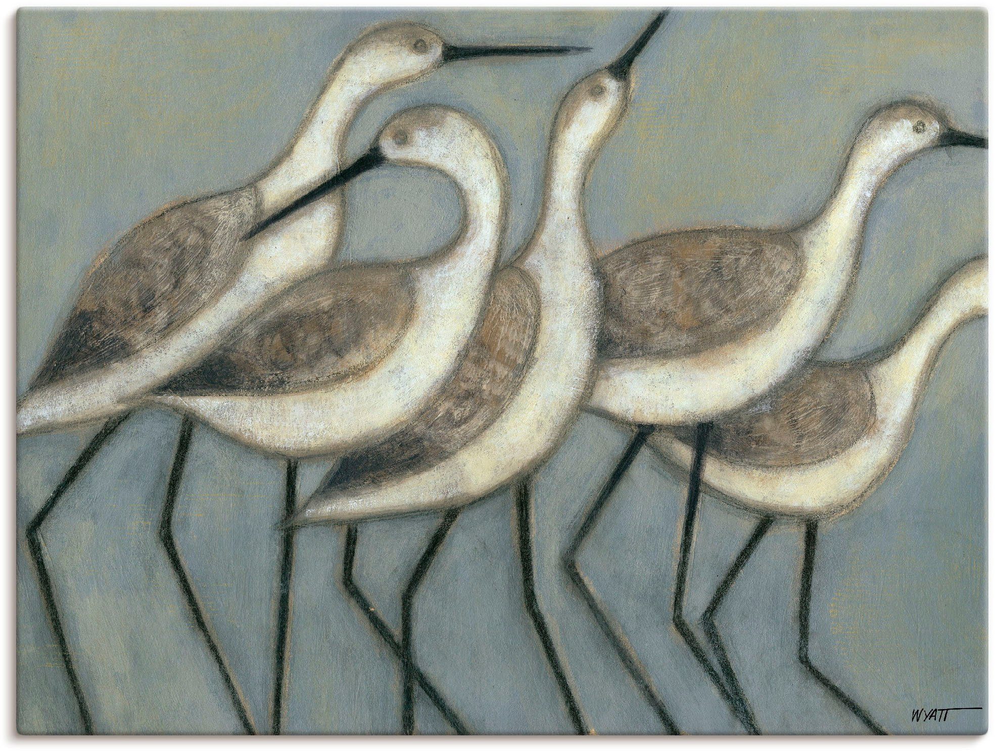 Artland Wandbild Küstenvögel II, Vögel (1 St), als Alubild, Leinwandbild, Wandaufkleber oder Poster in versch. Größen