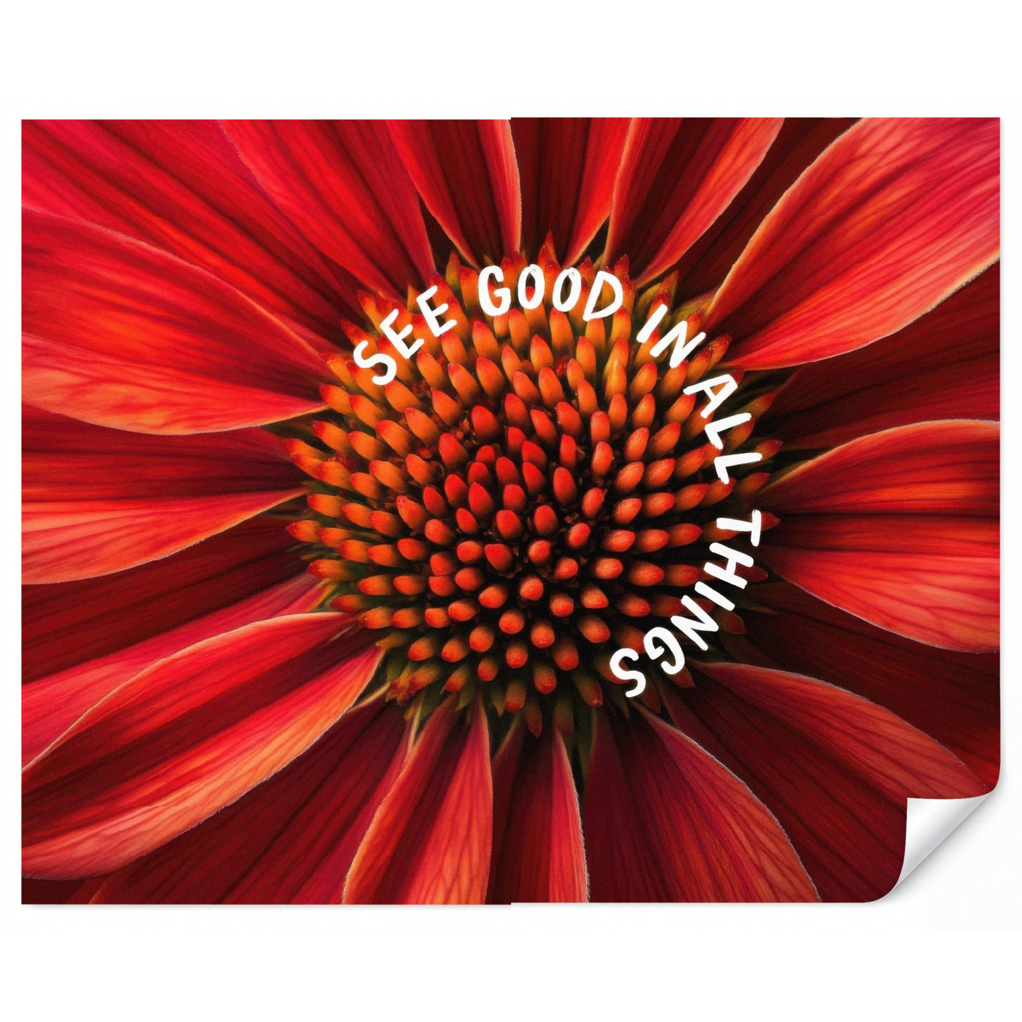 OnlyWow Fototapete Nahaufnahme - Blume - Zitat - Rot, Matt, bedruckt, Wanddekoration, Wandtapete, Schlafzimmer 260x220cm