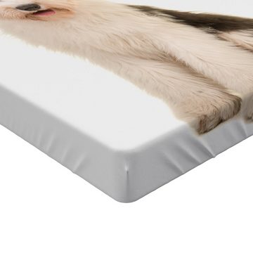 Spannbettlaken Soft Dekorativer Stoff Bettwäsche Rund-um Elastischer Gummizug, Abakuhaus, Englisch Sheepdog Sitzen Bobtail