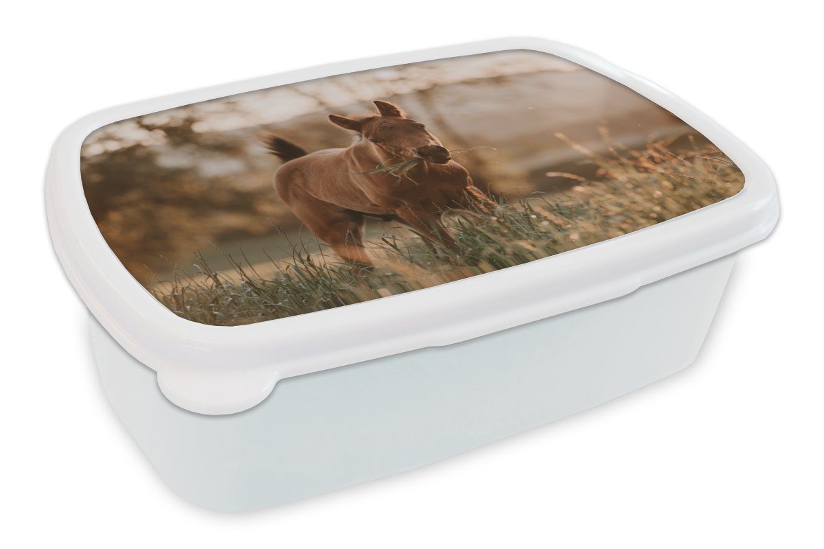 Lunchbox weiß Erwachsene, für Brotbox Kunststoff, Mädchen Sonne Gras, MuchoWow Kinder und - Pferd - Brotdose, Jungs und (2-tlg), für
