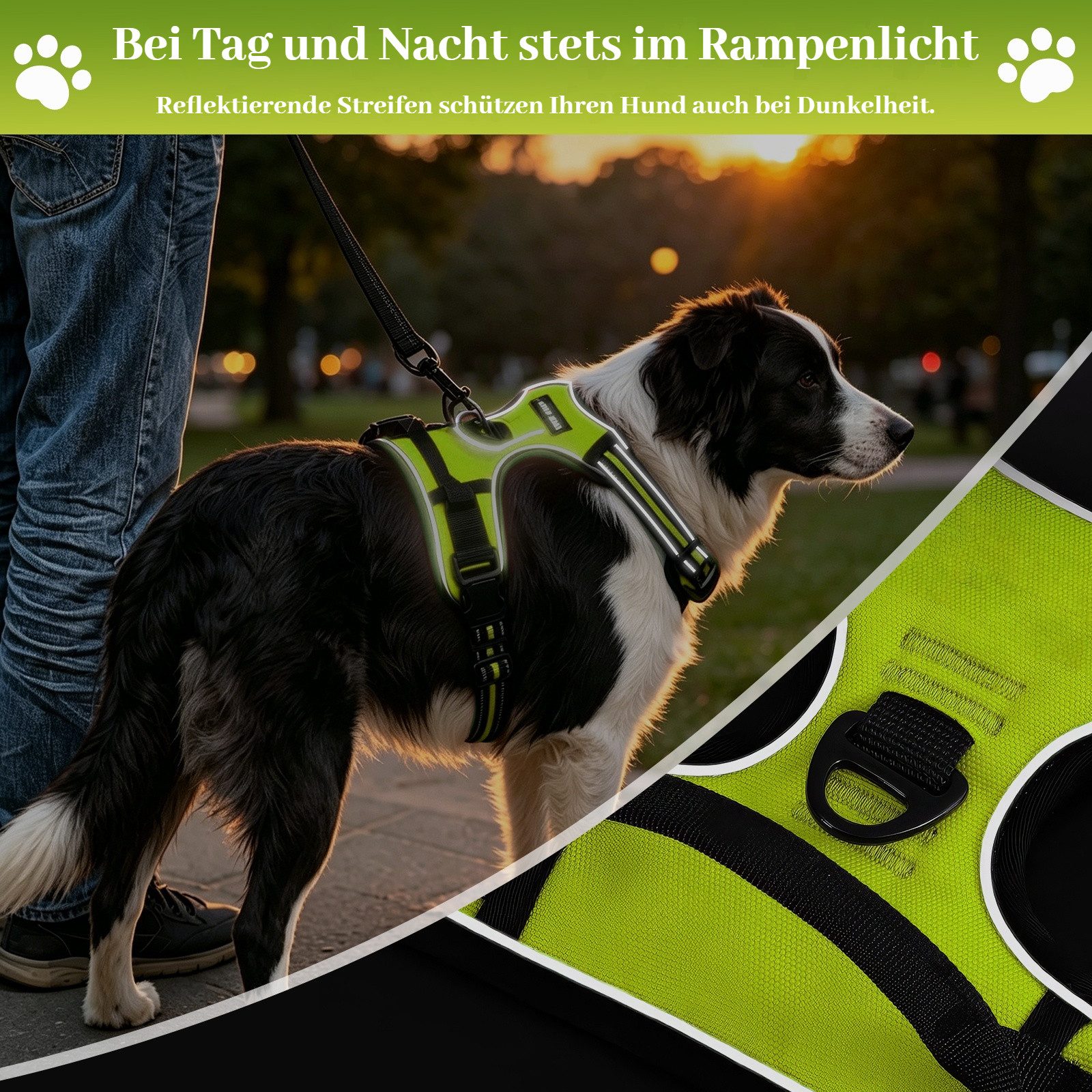 BlingBin Hunde-Geschirr Antizug Hundegeschirr mit Leine, Anti Zieh Geschirr für Hunde, Nylon und Polyester, Atmungsaktives und Reflektierendes Brustgeschirr für Mittelgroße Hunde