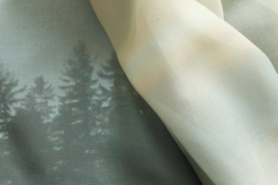Vorhang Fee, APELT, Ösen (1 St), transparent, HxB: 245x122